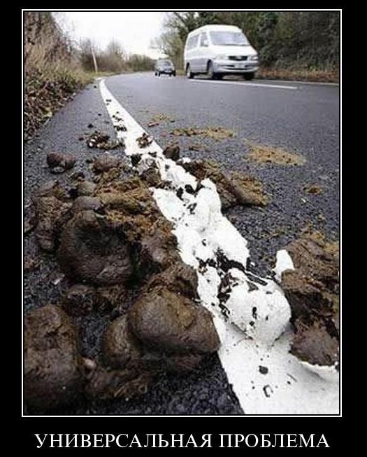 Демотиваторы приколы