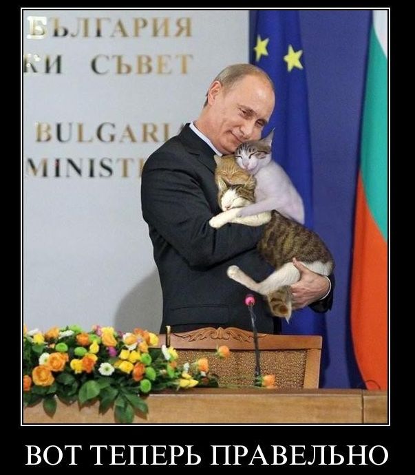 Демотиваторы приколы