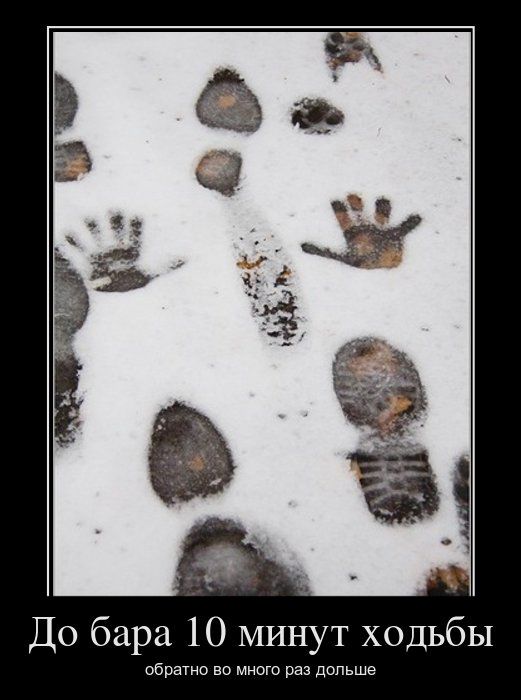 Демотиваторы приколы