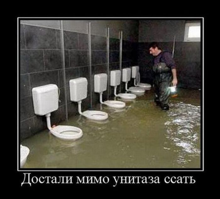 Демотиваторы приколы