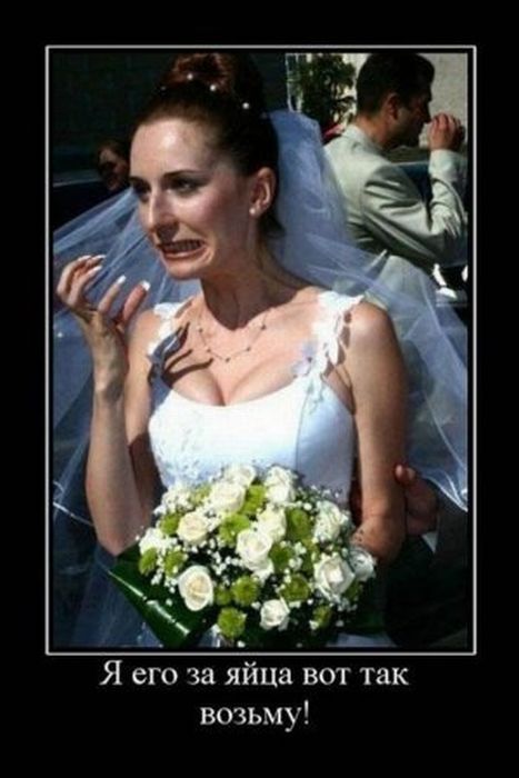 Демотиваторы приколы