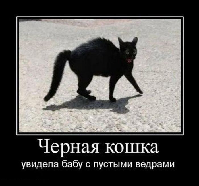 Демотиваторы приколы