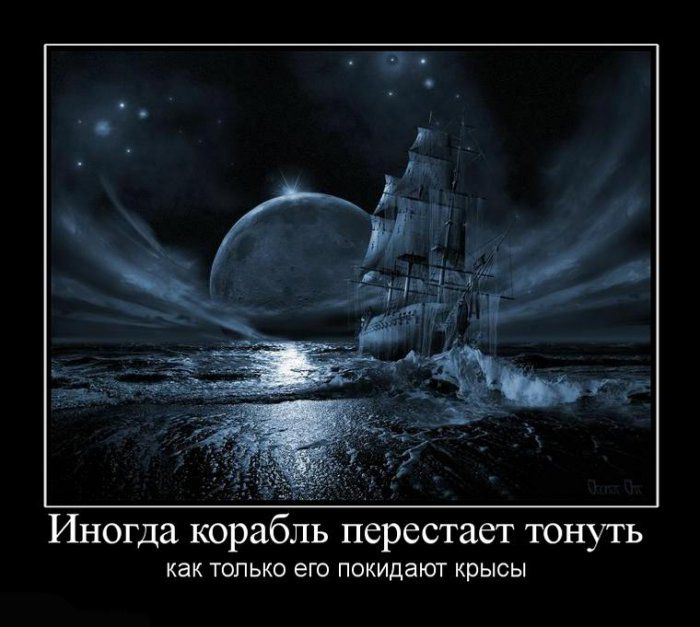 Демотиваторы приколы