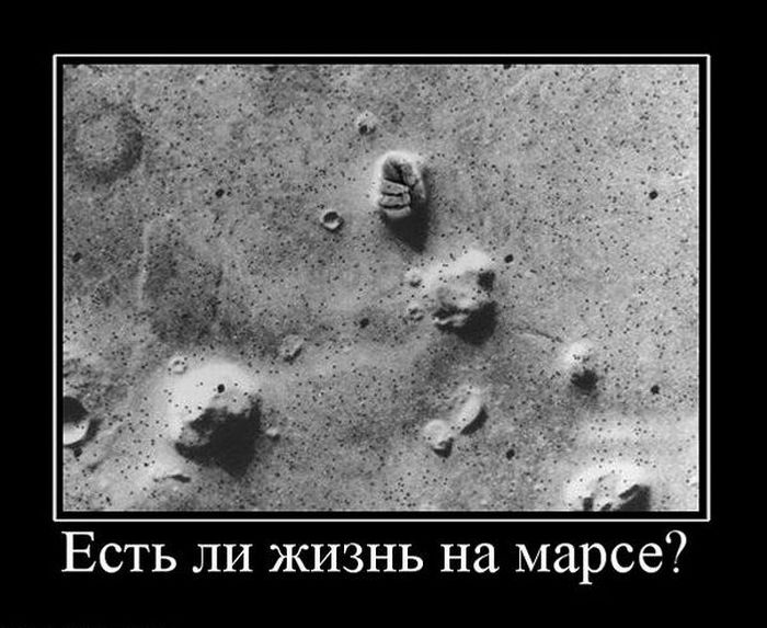 Демотиваторы приколы