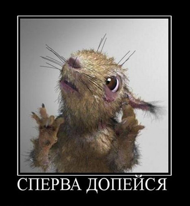 Демотиваторы приколы