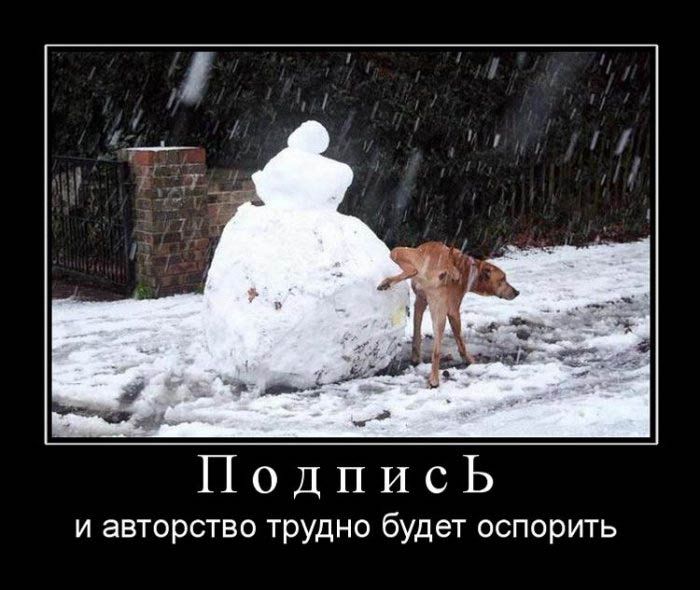 Демотиваторы приколы