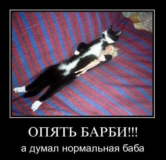 Демотиваторы приколы