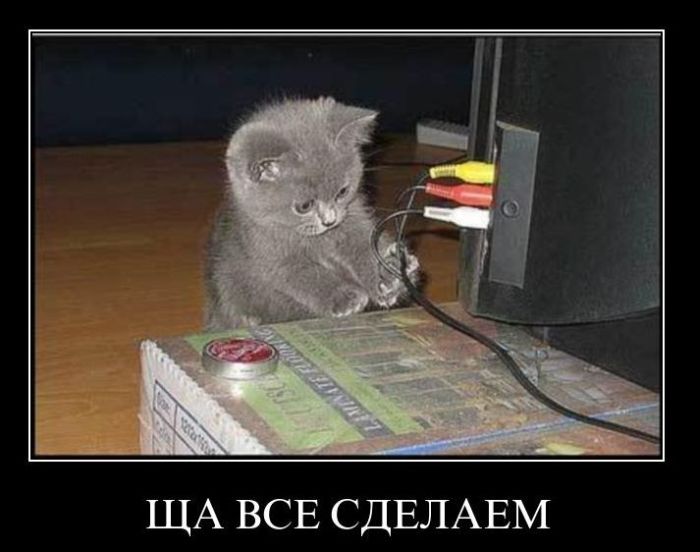 Демотиваторы приколы
