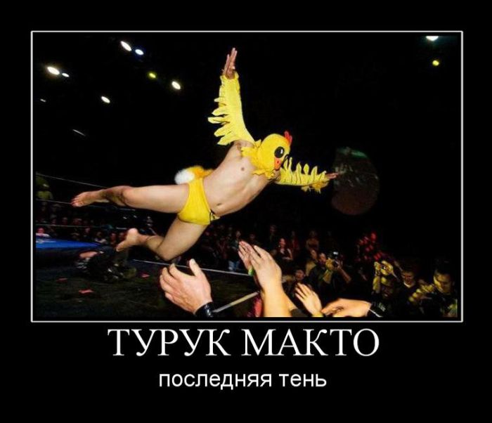 Демотиваторы приколы