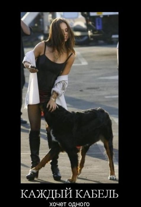 Демотиваторы приколы