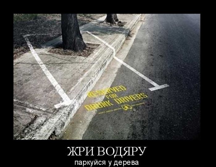 Демотиваторы приколы