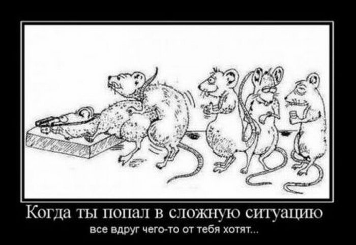 Демотиваторы приколы