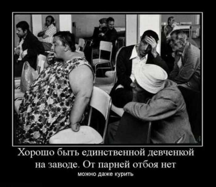 Демотиваторы приколы