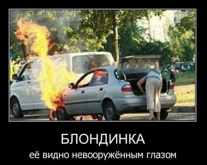 Демотиваторы приколы