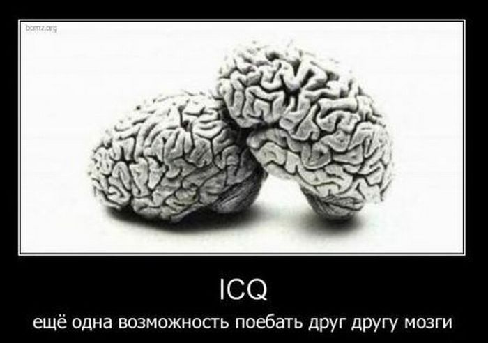 Демотиваторы приколы