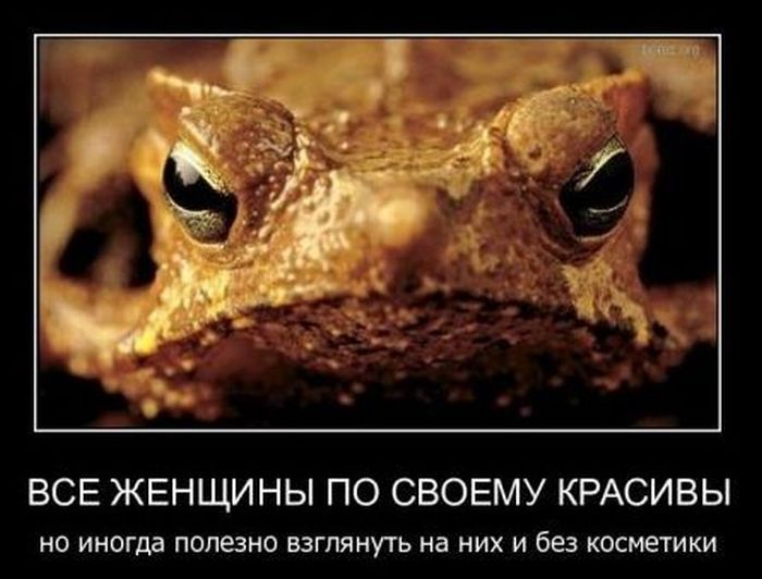 Демотиваторы приколы