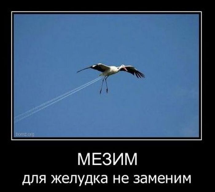 Демотиваторы приколы