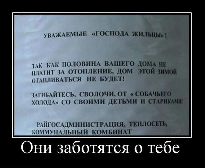 Демотиваторы приколы