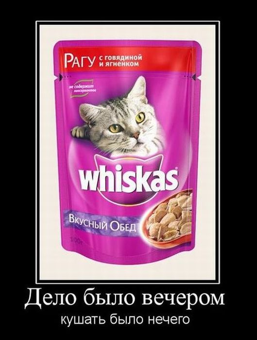 Демотиваторы приколы