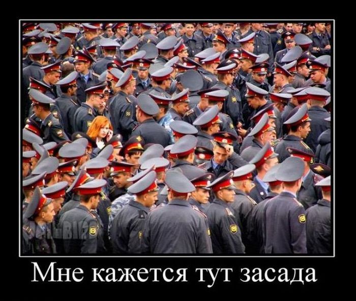 Демотиваторы приколы