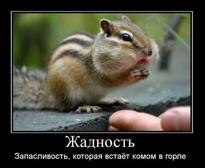 Демотиваторы приколы