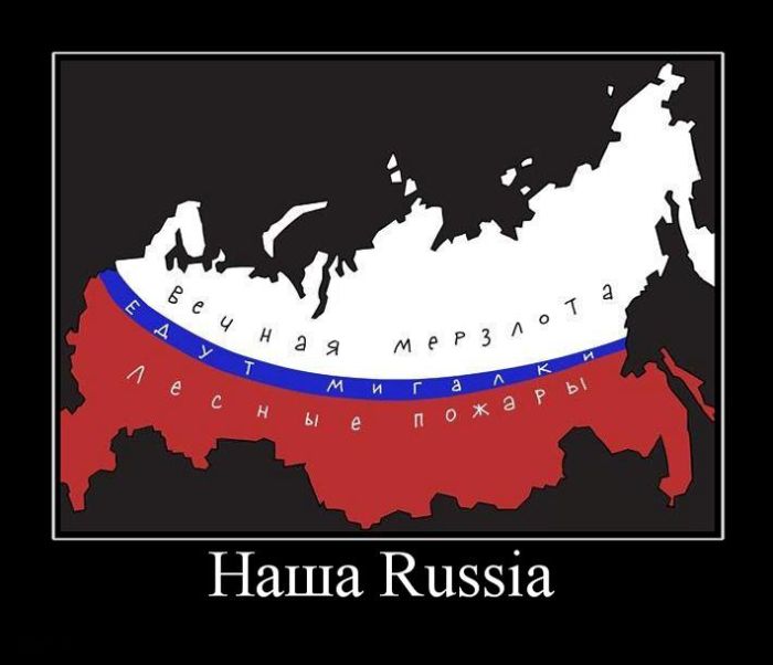 Демотиваторы приколы