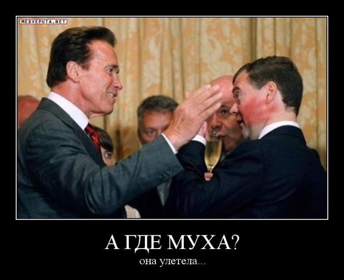 Демотиваторы приколы