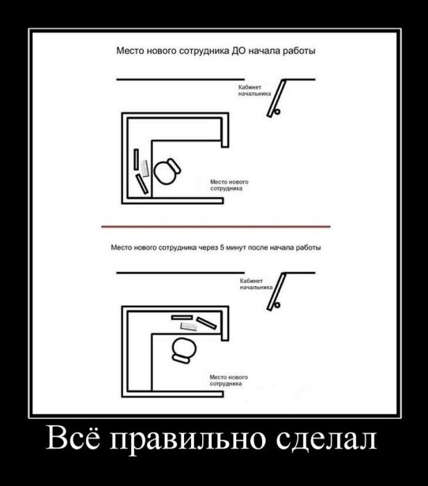 Демотиваторы приколы
