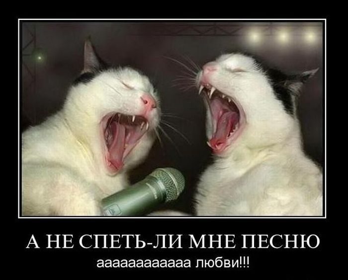 Демотиваторы приколы