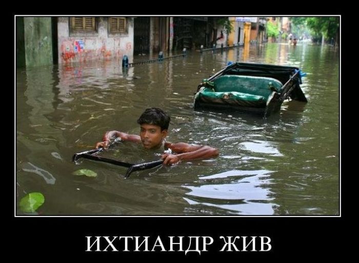 Демотиваторы приколы