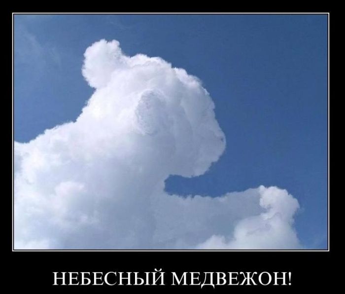 Демотиваторы приколы