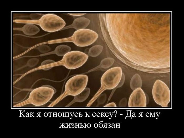 Демотиваторы приколы