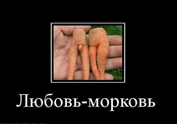 Демотиваторы приколы