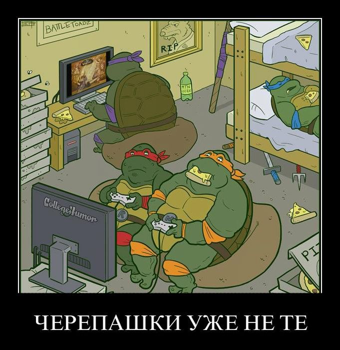 Демотиваторы приколы