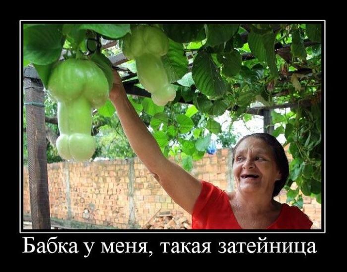 Демотиваторы приколы