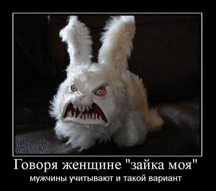 Демотиваторы приколы
