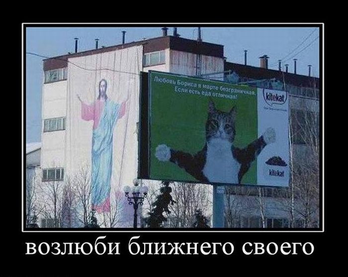 Демотиваторы приколы