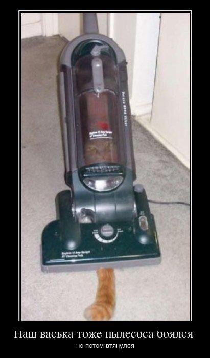 Демотиваторы приколы