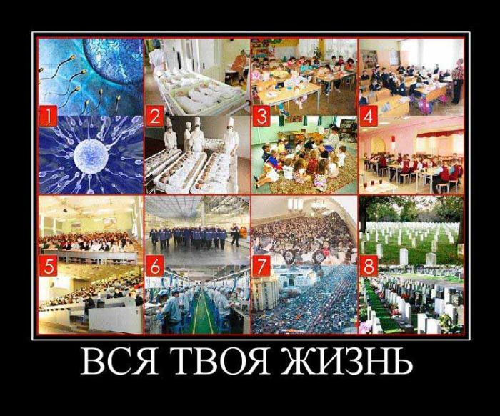 Демотиваторы приколы