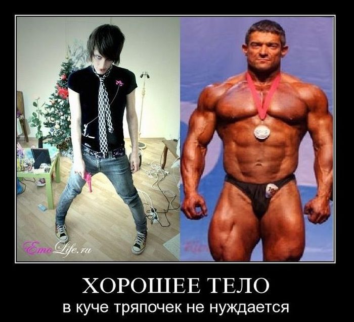 Демотиваторы приколы