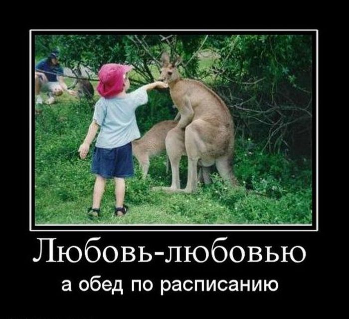 Демотиваторы приколы