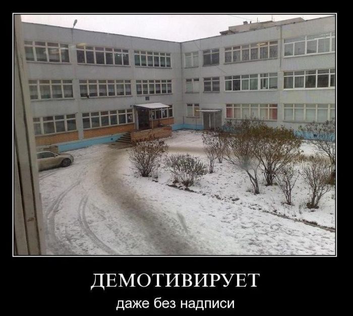 Демотиваторы приколы
