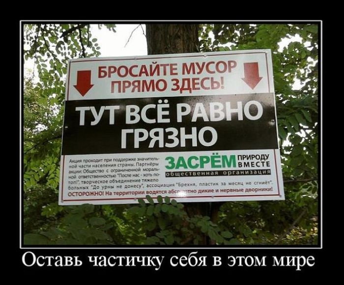 Демотиваторы приколы