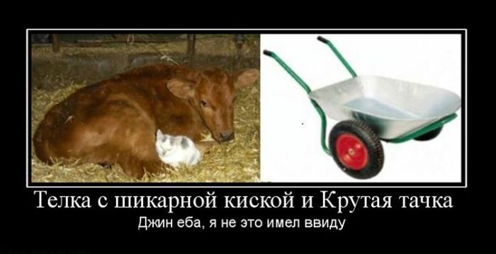 Демотиваторы приколы