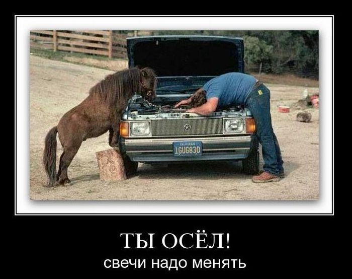 Демотиваторы приколы