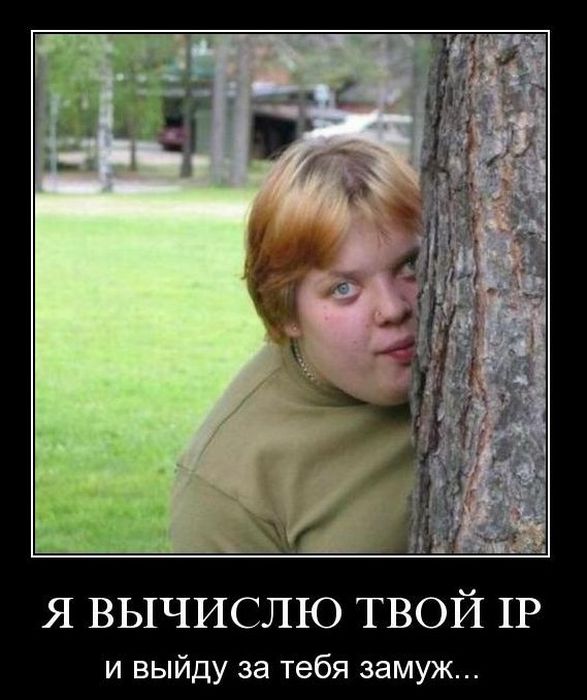 Демотиваторы приколы