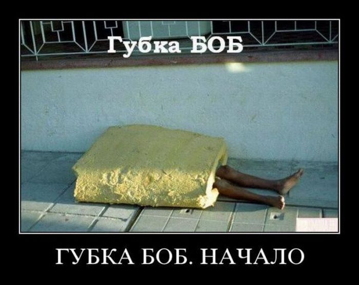 Демотиваторы приколы