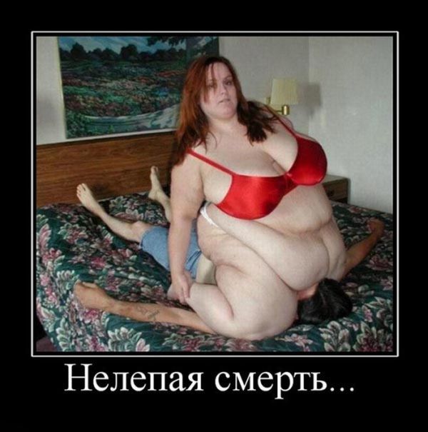 Демотиваторы приколы