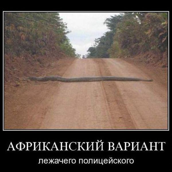 Демотиваторы приколы