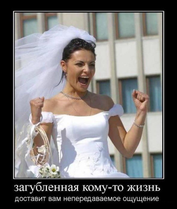 Демотиваторы приколы